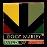 Bild des Albums von Ziggy Marley