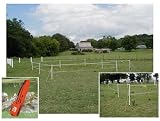 Portable Paddock