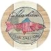 Set of Four Alaskan Pink Salmon Drink Coasters - Style TSDV1