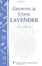 Growing & Using Lavender: Storey's Country Wisdom Bulletin A-155