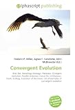 Convergent Evolution: Bird, Bat, Homology (biology), Pterosaur, Divergent evolution, Parallel evolution, Dorsal fin, Ichthyosaur, Shark, Ecology, Evolution ... List of examples of convergent evolution