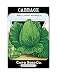 Cabbage Seed Packet Artwork Fridge Magnet
