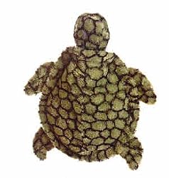 TODD SEA TURTLE BACKPACK 18"