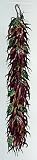Hand-Colored Etching Dry Peppers by Dan Mitra 101/750