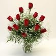 One Dozen Red Roses - Premium