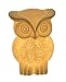 Porcelain Owl Ambient Lamp