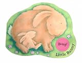 Noisy Farm Babies: Little Bunny (Noisy Farm Babies)