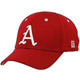 The Game Arkansas Razorbacks Cardinal On-field Baseball Fitted Hat