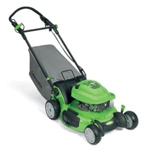 Click here to buy Lawn Boy 10665 Insight Series 21-Inch 6.75 Briggs and Stratton Gas Powered Self-Propelled Lawn....