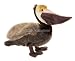 Wildlife / Domestic Animals : Brown Pelican Bird 14