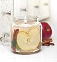 18oz Apple Cinnamon Candle
