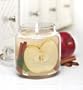 18 oz. Apple Cinnamon Gel Candle