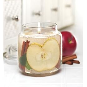 18oz Apple Cinnamon Candle