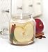 18oz Apple Cinnamon Candle