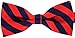 Tok Tok Designs® Handmade Men's Bow Tie - B26 (Silky Navy & Red)