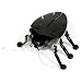 HEXBUG Original - Black