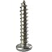 Fastenere Torx Security Sheet Metal Screws - #6 x 1-1/2