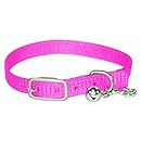 Hamilton 3/8-Inch by 10-Inch Safety Cat Collar with Bell, Hot Pink