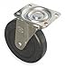 Swivel Caster