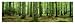 Rain Forest (Green Trees, Panorama) Art Poster Print - 36x12 Art Poster Print, 36x12 Art Poster Print, 36x12