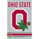 Ohio State Buckeyes 2 Sided Large House Flag Banner