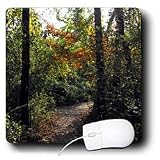 WhiteOak Photography Nature Scenes - The Park Park entrance in Michigan - Mouse Pads