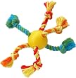 Pet toy - Fantasy Ball