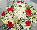 Holiday Joy Bouquet