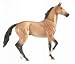 Akhal Teke - 2007 Limited Edition&nbsp;