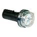 Blazer C8020 Light Buster Trailer Hitch Accessory Light-1 each