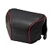 Panasonic CGL1SE-K Snug Fit Case for Lumix GF1 with 20mm Lens
