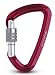 SALEWA Karabiner Hot G2 Screw, red, One size, 00-0000001656