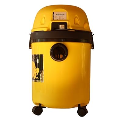 RODAK &quot;CarSpecial 4 30L&quot; Wet and Dry Vacuum Cleaner designed for car interior cleaning.