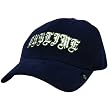 Sublime - Navy Leaf Fitted Baseball Cap