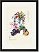 Black Framed/Matted Print 17x23, Fruit and Flowers