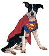 Super dog Pet...