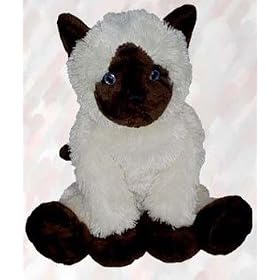 Yasmina Siamese Cat 15