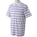 (ナイキゴルフ)NIKE Golf テックコアストライプSSポロ 456763
