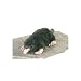 Mole 9.5