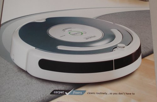Vacuum Cleaning Robot