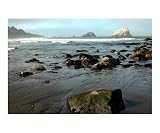Pacific Coast Places Photographic Poster Print by Art Limon, 20x16