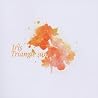 Bild des Albums von Triangle Sun