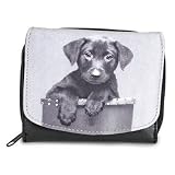 Jeweled Coin Purse Wallet - Best of Friends Keith Kimberlin, Puppy or Kitten