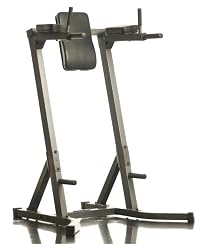 Body Max DLR670 Dip / Leg Raise