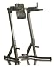 Sporting Goods : Body Max DLR670 Dip / Leg Raise