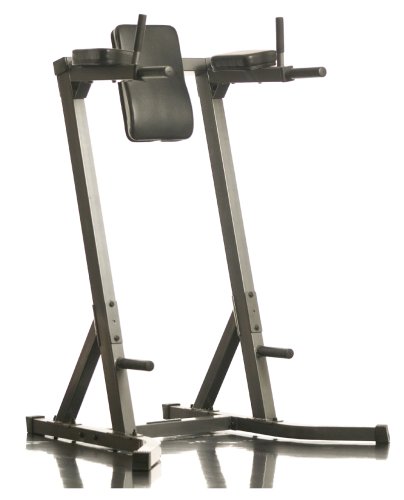 SportingGoods: Body Max DLR670 Dip / Leg Raise
