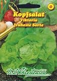 Eigenschaften Chrestensen  / Kopfsalat Viktoria (Portion)