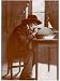 Jean Henri Fabre, French Entomologist Photographic Poster Print, 12x16