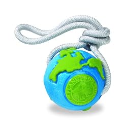 Planet Dog Orbee-Tuff Orbee with Rope Blue/Green Small