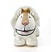 Stuffies Champ the Lion